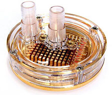 ZM-WB4 GOLD CPU Water Block